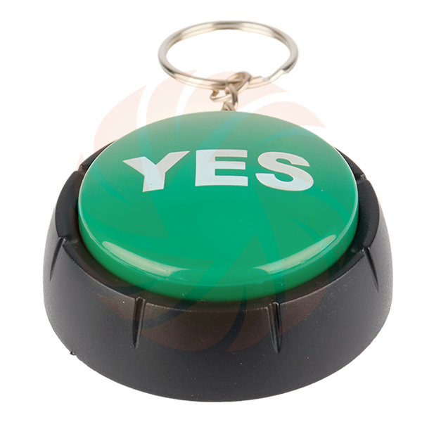 P2026291  Mighty Mini Yes Button